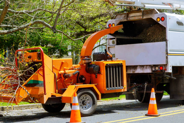 Best Seasonal Cleanup  in Spencer, OK